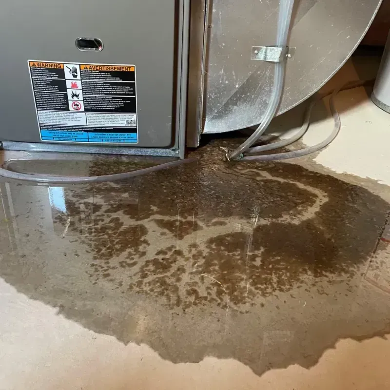 Appliance Leak Cleanup in Bowling Green, MD